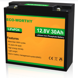 ECO-WORTHY Rechargeable 12V 30Ah Lithium Battery
