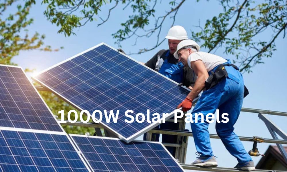 1000W Solar Panel Price in Pakistan